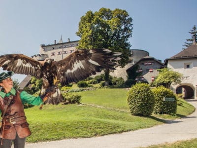 Burg Hohenwerfen Greifvogelschau (c)SalzburgerLand Tourismus